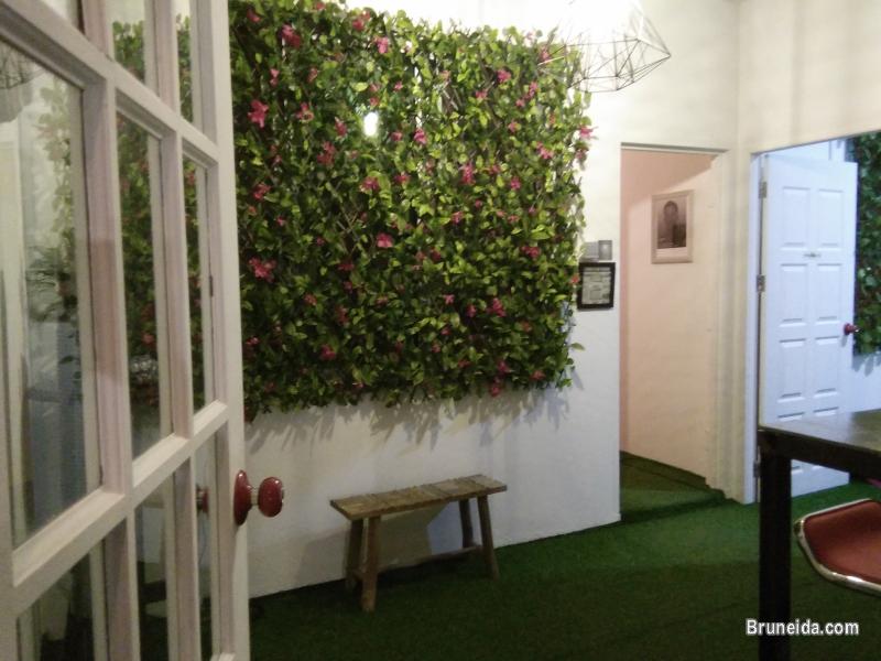 OFFICE 3a: $180 per month Fully Furnished - image 2