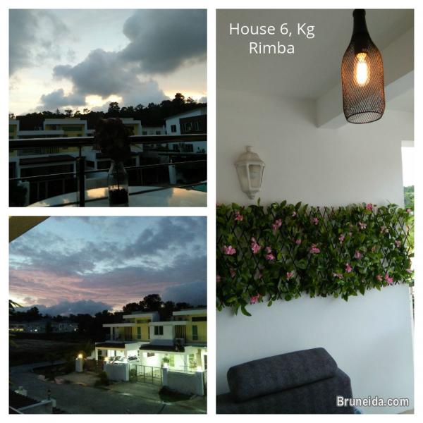 Suite 102 - Co. Living Suite, Rimba $380 PROMO - image 11