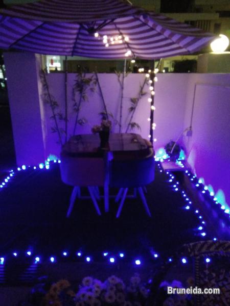 Suite 102 - Co. Living Suite, Rimba $380 PROMO - image 6