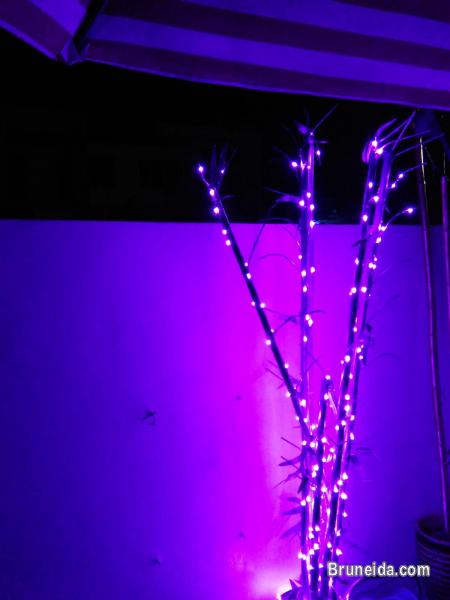 Suite 102 - Co. Living Suite, Rimba - image 3