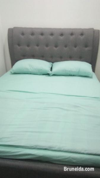 Private Room @ Co. Living Hostel - image 2