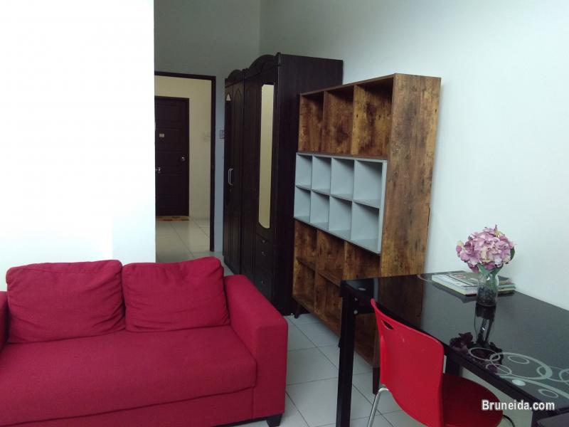 Suite 102 - Co. Living Suite, Rimba - image 10