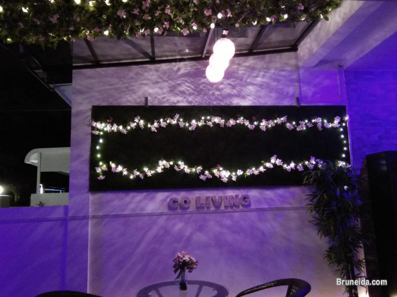 Suite 102 - Co. Living Suite, Rimba - image 2