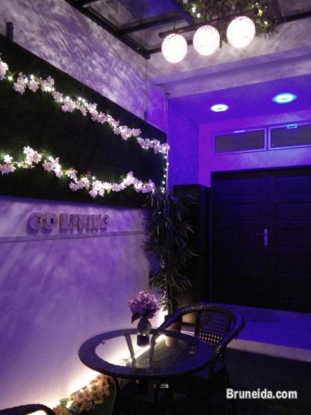 Suite 102 - Co. Living Suite, Rimba - image 3