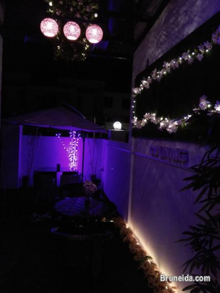 Suite 102 - Co. Living Suite, Rimba - image 4