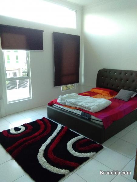 Suite 102 - Co. Living Suite, Rimba - image 6