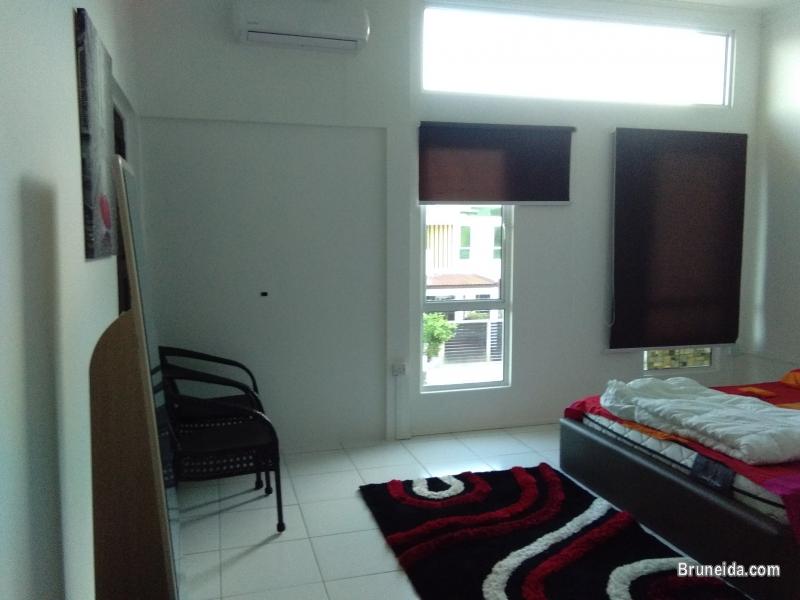 Suite 102 - Co. Living Suite, Rimba - image 7
