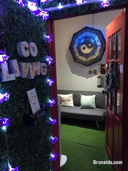 Private Queen Bedroom Fully Furnished & Fancy - image 4