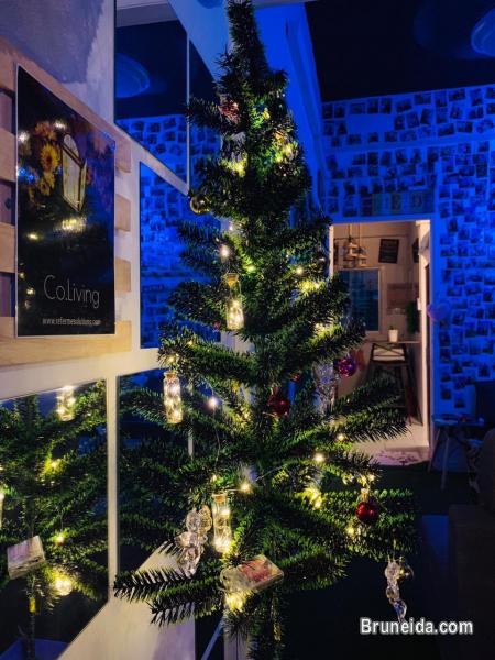 Private Queen Bedroom Fully Furnished & Fancy - image 6