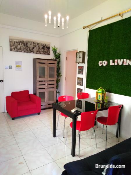 Pictures of Dormitory Bed @ Co. Living Saga