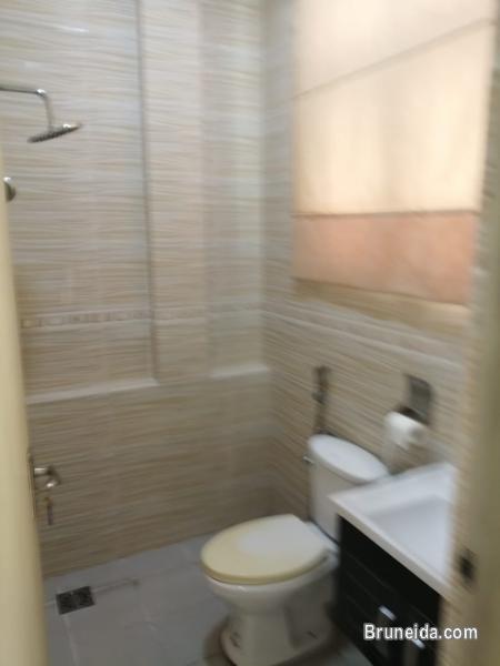 terrace middle house for rent - image 3