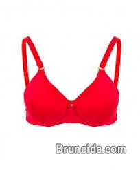 Muneri International - image 10