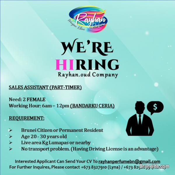 Sales Assistant - image 1