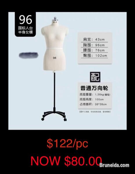 Dress Form - image 1