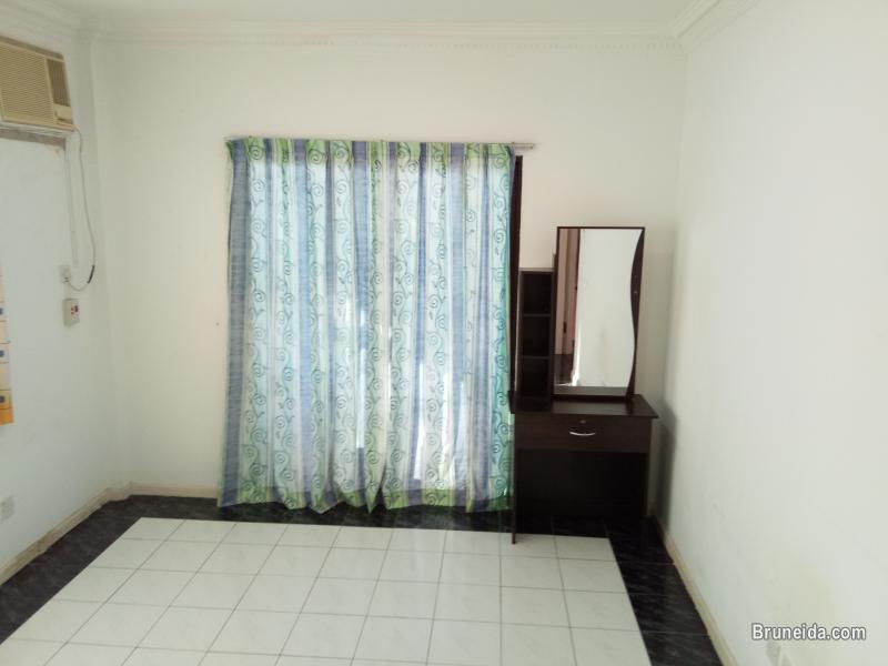 Apartment / Room For Rent - image 3