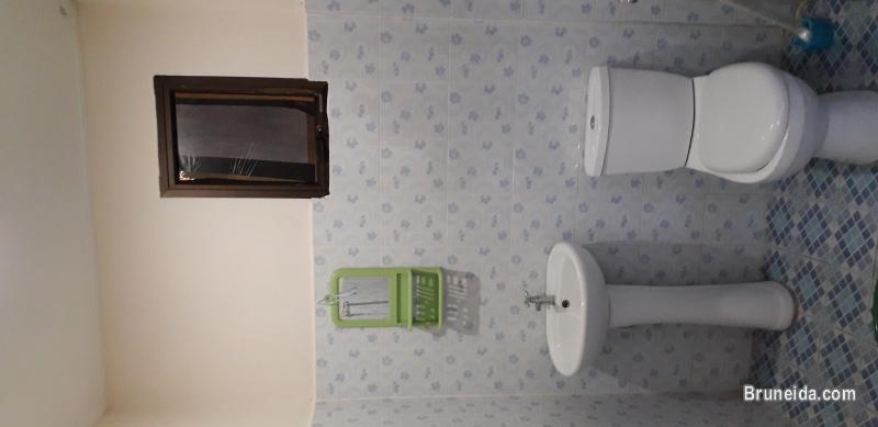 Room for Rent - image 2