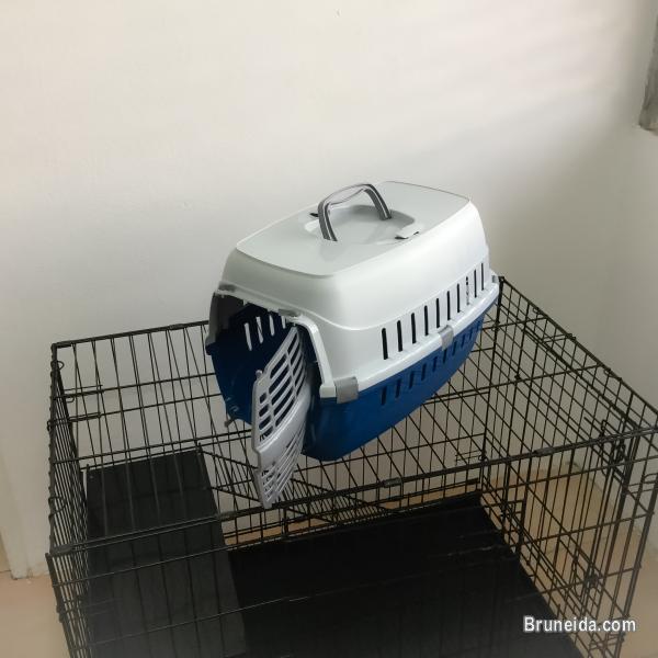 Cat carrier for sale - image 1