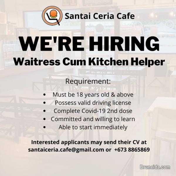 Waitress Cum Kitchen Helper - image 1