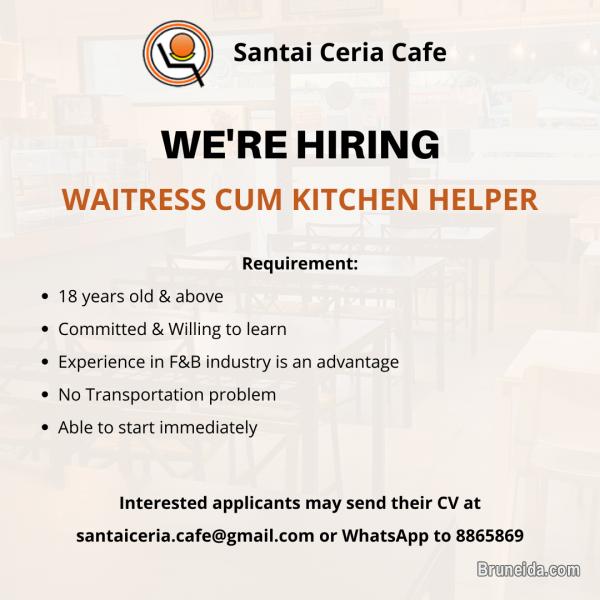 Waitress Cum Kitchen Helper - image 1