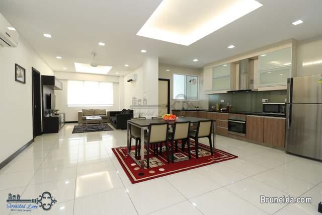 Pictures of FULLY FURNISHED APARTMENT FOR RENT IN KB