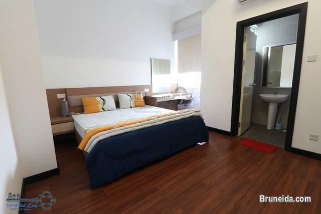 FULLY FURNISHED APARTMENT FOR RENT IN KB - image 5