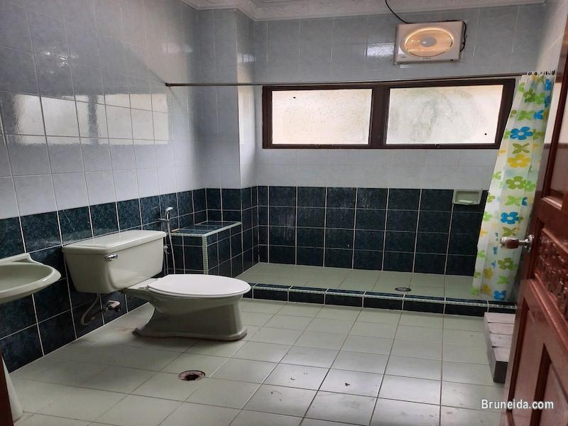 DETACHED HOUSE FOR RENT - image 10