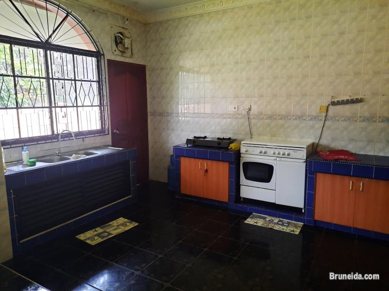 DETACHED HOUSE FOR RENT - image 4