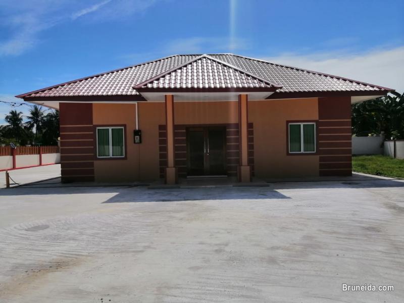 HOUSE FOR RENT - image 1