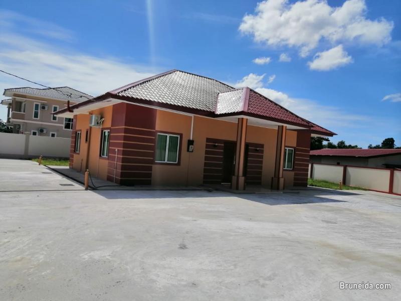 HOUSE FOR RENT - image 2