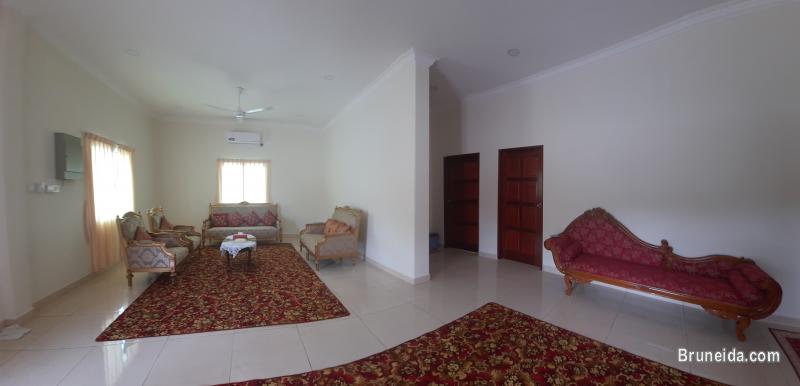 HOUSE FOR RENT - image 5