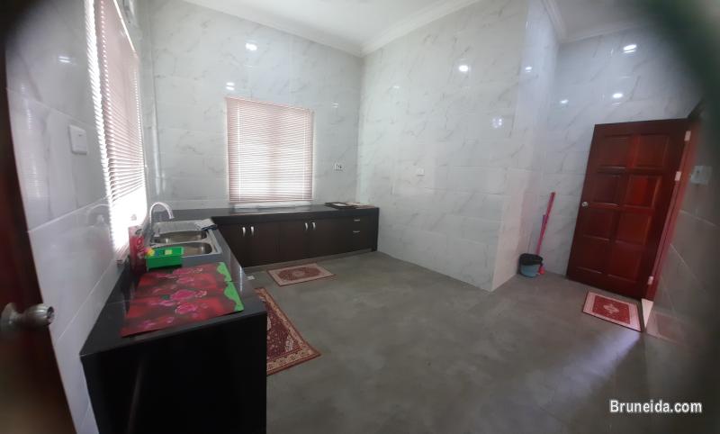 HOUSE FOR RENT - image 7