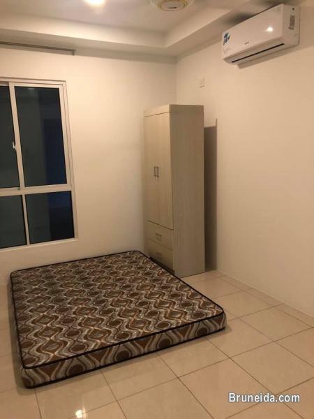 Room for rent - image 3