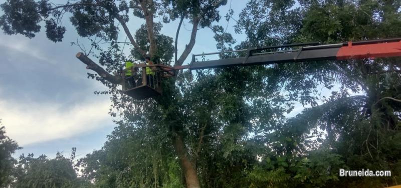 Lorry, Pickup & Potong Pokok - image 3