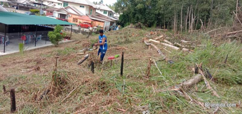 Lorry, Pickup & Potong Pokok - image 4