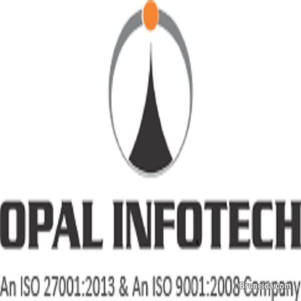 Search Engine Optimization Service Provider in India - image 1