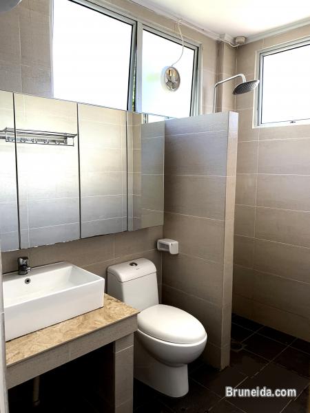 Corner Unit for rent - image 7