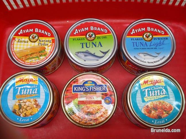 Canned Tuna - image 1