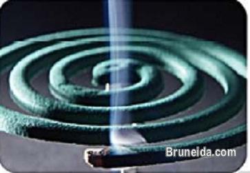 Mosquito Repellent - image 2