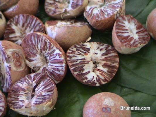 Betel Nut - image 1