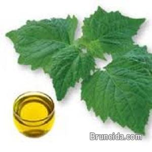 Clove Oil - image 1