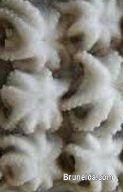 Baby Octopus (frozen). - image 1