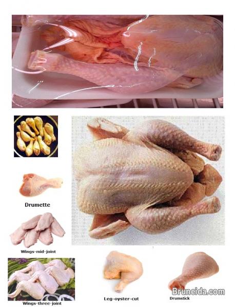 Frozen Chicken - image 1