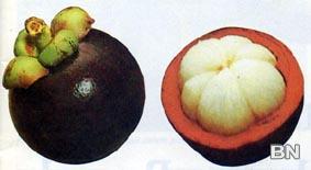 Mangosteen (fresh fruit) - image 1