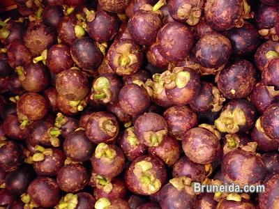 Mangosteen (fresh fruit) - image 3