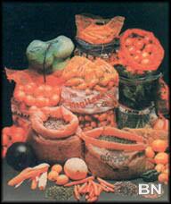 Raschel Bag - image 1