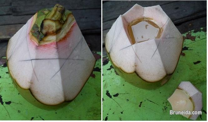 Green Coconut (fresh fruit). - image 1