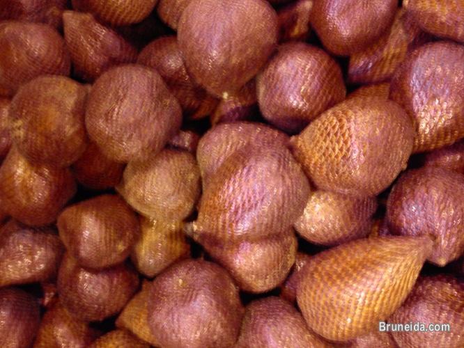 Snake Fruit - image 2