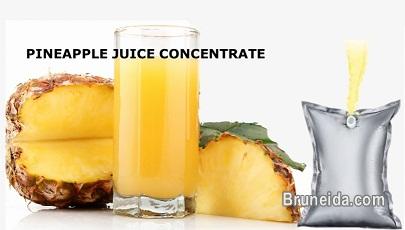 Pineapples Juice Concentrate - image 1