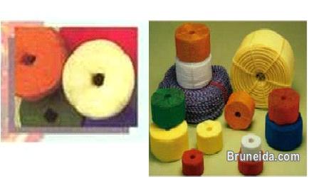 Plastic Ropes - image 1