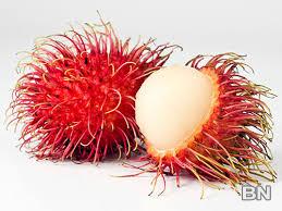 Rambutan - image 1